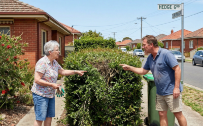 Breaking Down Boundaries: A Guide to Resolving Disputes with Your Neighbours